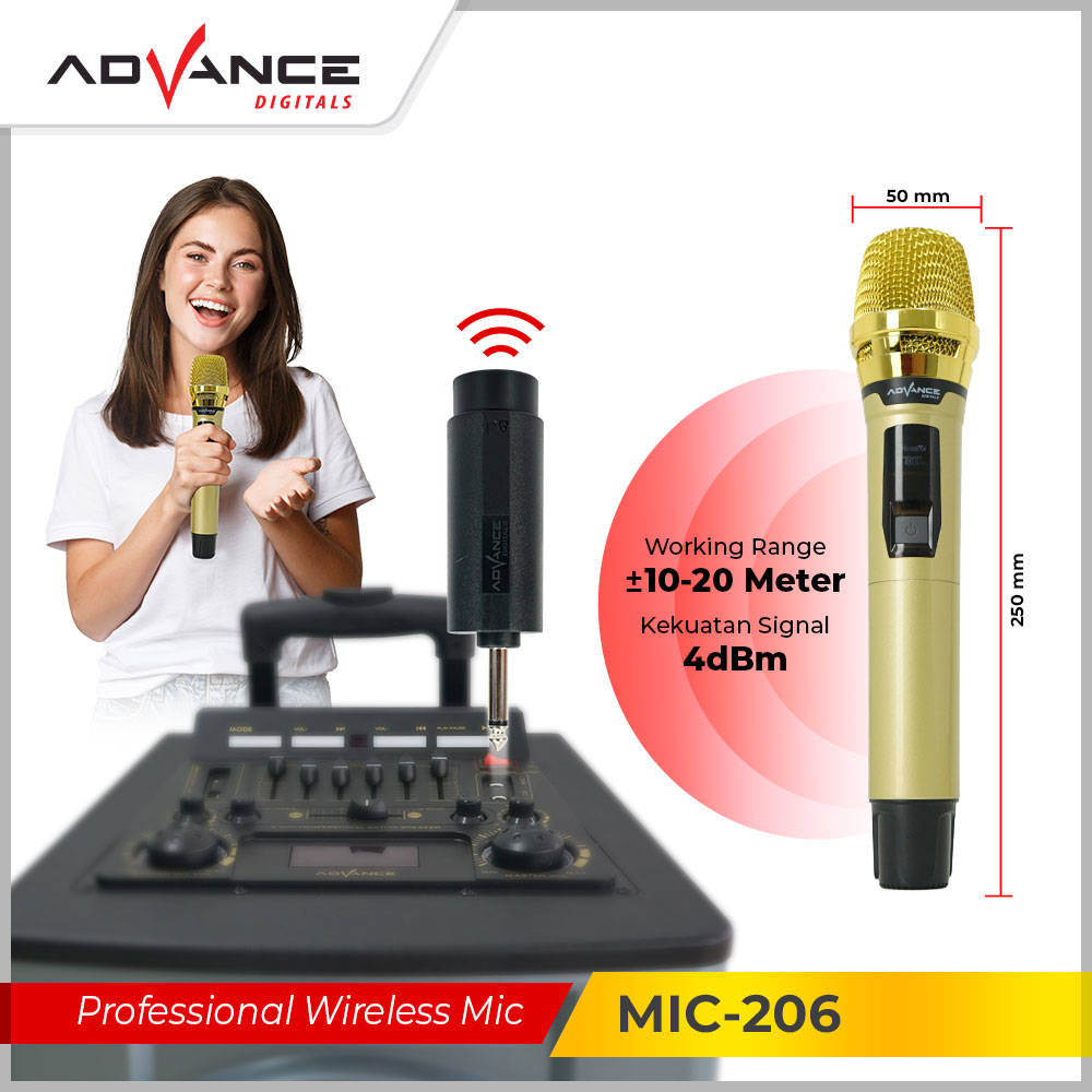 Double Digital Microphone Wireless